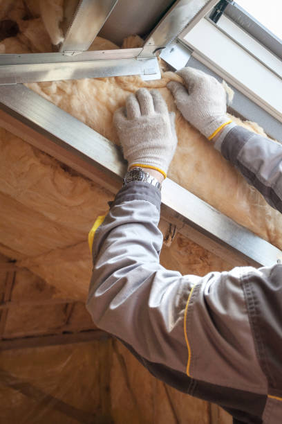 Best Wall Insulation Installation  in White Cloud, MI